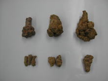 田七 大・中・小